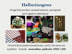 Hallucinogens Drugs that produce unusual sensory perceptual and