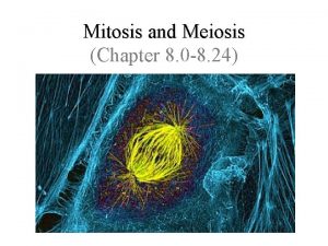 Purpose of mitosis