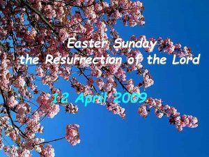 Easter Sunday the Resurrection of the Lord 12