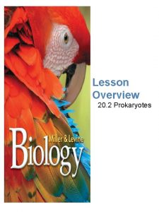 Lesson 2: prokaryotes: 1