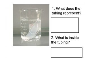 1 What does the tubing represent A selectively