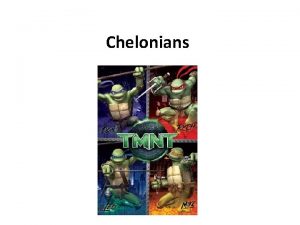 Chelonians Chelonian Taxonomy Order CheloniaTestudines 2 Suborders 1