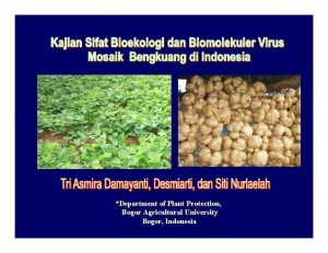 Department of Plant Protection Bogor Agricultural University Bogor