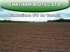 Chatham Biotec Ltd 2005 1997 Les Services Forestiers
