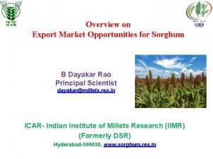 Overview on Export Market Opportunities for Sorghum B