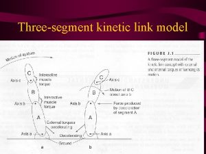 Kinetic link principle