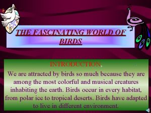 THE FASCINATING WORLD OF BIRDS INTRODUCTION We are