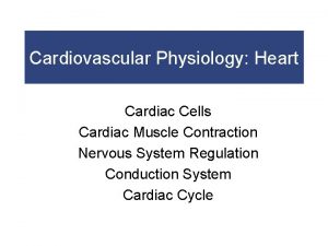 Cardiovascular Physiology Heart Cardiac Cells Cardiac Muscle Contraction