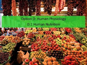 Option D Human Physiology D 1 Human Nutrition