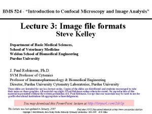 BMS 524 Introduction to Confocal Microscopy and Image