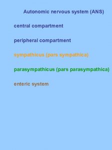 Autonomic nervous system ANS central compartment peripheral compartment
