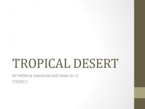 Desert ecosystem food web