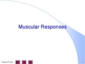 Muscular Responses Suzanne DAnna 1 Threshold Stimulus any