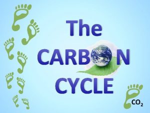 Decomposition in the carbon cycle
