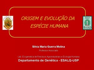 ORIGEM E EVOLUO DA ESPCIE HUMANA Silvia Maria