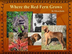 Where the red fern grows 2003