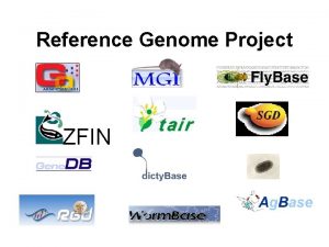 Reference Genome Project ZFIN Purpose Provide comprehensive annotation