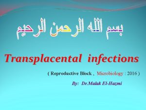 Transplacental infections Reproductive Block Microbiology 2016 By Dr