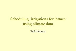 Lettuce scheduling