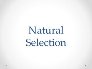Natural selection biology definition