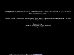 Emergence of perianal fistulizing disease in the SAMP