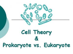 Prokaryote