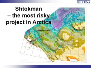 Shtokman the most risky project in Arctica Nina