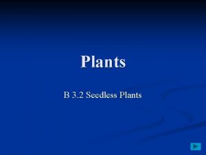 Plants B 3 2 Seedless Plants Seedless Plants