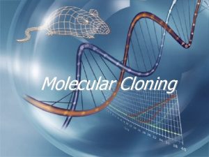 Molecular Cloning Definitions q Cloning q Obtaining a