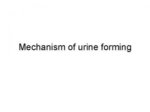 Mechanism of urine forming The Nephron Is the