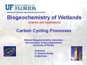 Institute of Food and Agricultural Sciences IFAS Biogeochemistry