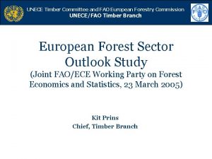 UNECE Timber Committee and FAO European Forestry Commission