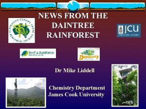 Daintree rainforest average rainfall