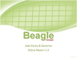 Beagle Technologies Joo Paulo Severino Status Report 1