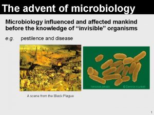 The advent of microbiology Microbiology influenced and affected