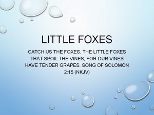 Catch the little foxes