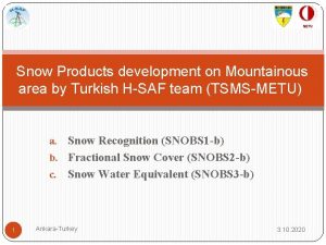 Snow Products development on Mountainous area by Turkish