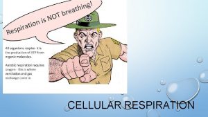 CELLULAR RESPIRATION CELLULAR RESPIRATION IS WHEN CELLS BREAK