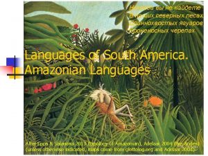 South american languages South american languages