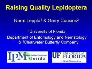 Raising Quality Lepidoptera Norm Leppla 1 Garry Cousins