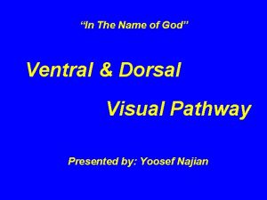 In The Name of God Ventral Dorsal Visual