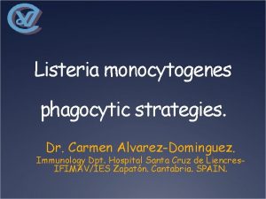 Listeria monocytogenes phagocytic strategies Dr Carmen AlvarezDominguez Immunology