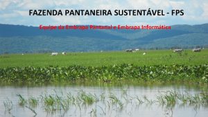 FAZENDA PANTANEIRA SUSTENTVEL FPS Equipe da Embrapa Pantanal