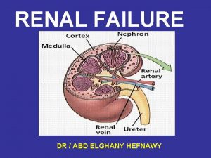 Non excretory function of kidney
