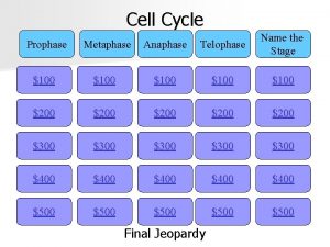 Cell Cycle Prophase Metaphase Anaphase Telophase Name the