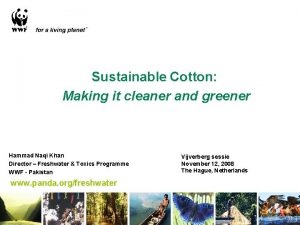 Sustainable Cotton Making it cleaner and greener Hammad