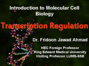 Introduction to Molecular Cell Biology Transcription Regulation Dr