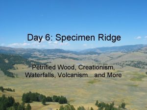 Day 6 Specimen Ridge Petrified Wood Creationism Waterfalls