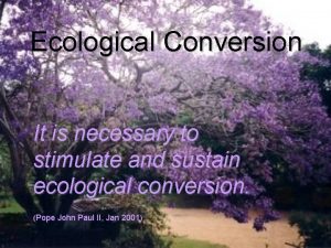 Ecological conversion meaning