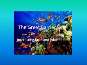 The great barrier reef fun facts